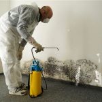 What Are the Key Signs of Water Damage in Your Home? Early Detection Tips