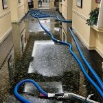 How to Choose the Best Water Damage Restoration Company Near You