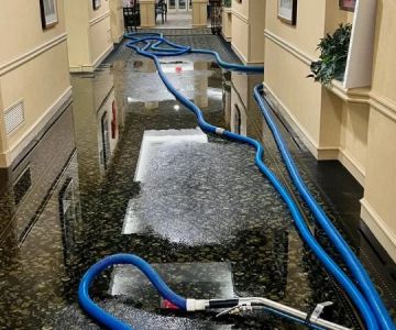 How to Choose the Best Water Damage Restoration Company Near You