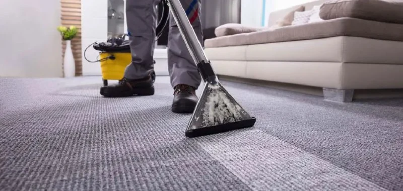 How to Clean Water-Damaged Carpeting and Area Rugs: Step-by-Step Guide