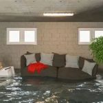 How to Avoid Water Damage in Your Home’s Crawl Space: Essential Tips