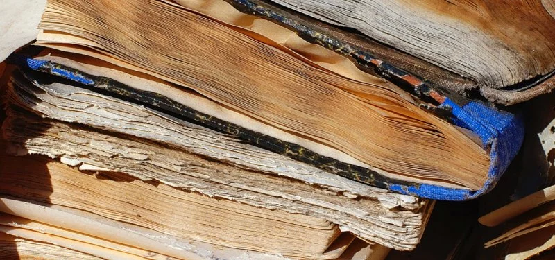 How to Restore Water-Damaged Books and Papers: Expert Tips