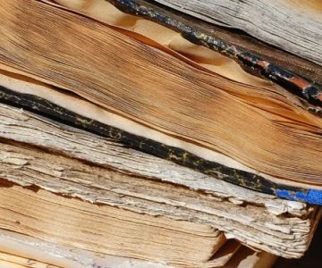 How to Restore Water-Damaged Books and Papers: Expert Tips