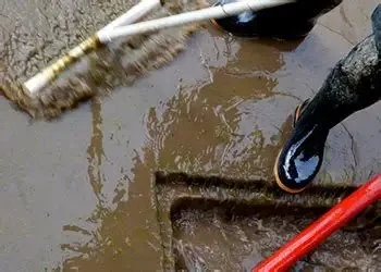 What Is Black Water and How to Handle It After Water Damage