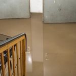 The Link Between Water Damage and Long-Term Structural Issues: What You Need to Know