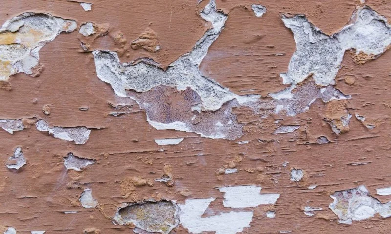 How to Prevent Water Damage to Your Home’s Exterior Walls: Effective Protection Tips