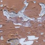 How to Prevent Water Damage to Your Home’s Exterior Walls: Effective Protection Tips
