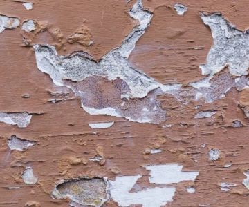 How to Prevent Water Damage to Your Home’s Exterior Walls: Effective Protection Tips