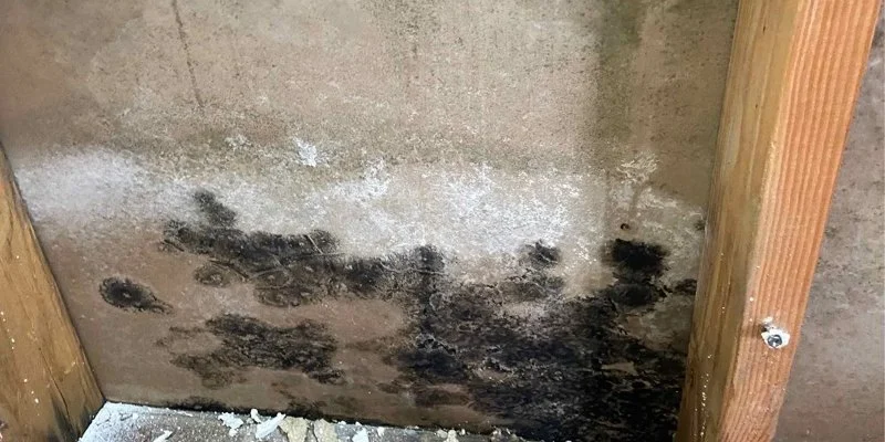 How to Prevent Mold Growth After Water Damage in Your Basement