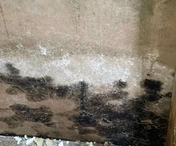 How to Prevent Mold Growth After Water Damage in Your Basement