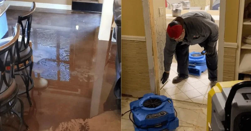 What Are the First Steps in Water Damage Cleanup?