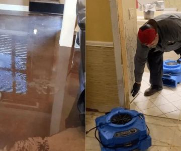 What Are the First Steps in Water Damage Cleanup?