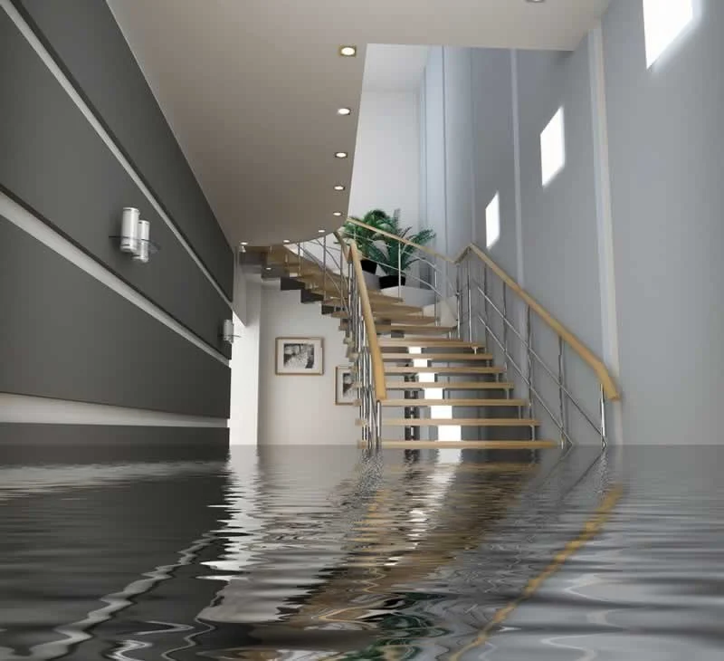 How to Protect Your Home from Water Damage in a Flood Zone – Essential Tips