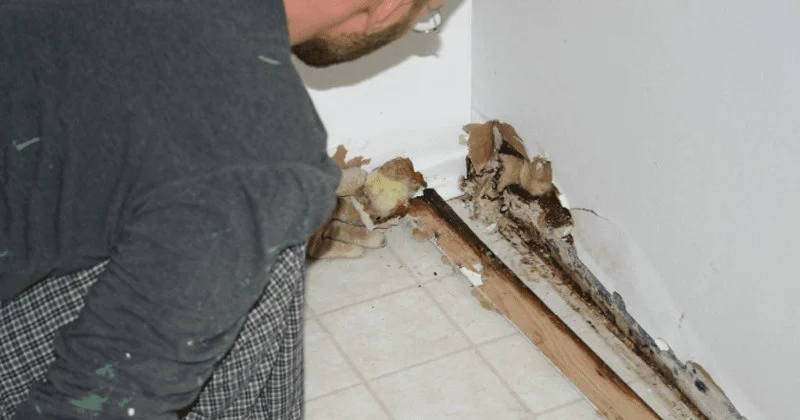 How to Identify and Repair Water Damage Behind Drywall in Your Home