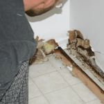 How to Identify and Repair Water Damage Behind Drywall in Your Home