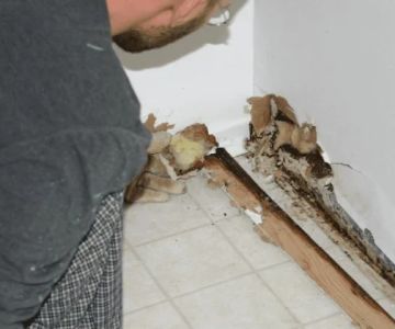 How to Identify and Repair Water Damage Behind Drywall in Your Home