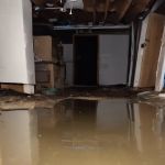 Common Causes of Water Damage in Homes and How to Prevent Them