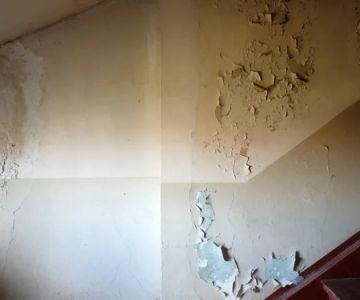 What Are the Key Signs of Water Damage in Your Home?