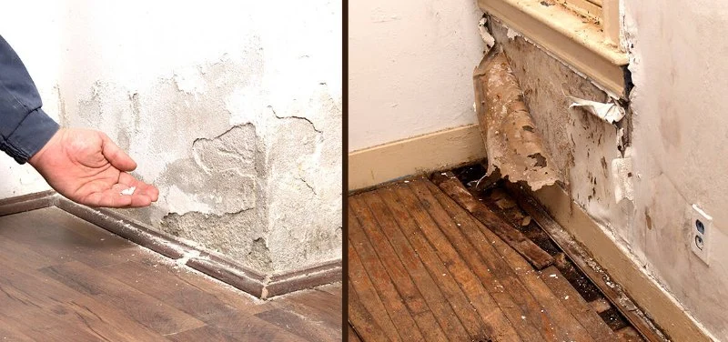 Why It's Important to Address Water Damage Immediately | Home Repair Tips