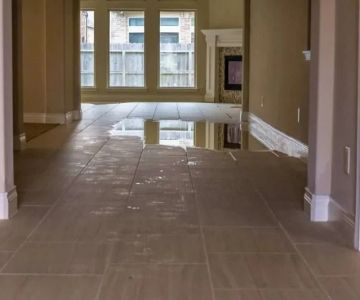 How to Assess the Extent of Water Damage in Your Home: A Comprehensive Guide