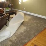 How to Restore Water-Damaged Upholstery - Expert Tips and Solutions