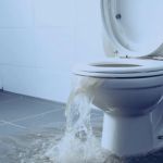 How to Handle Water Damage From Overflowing Toilets: Tips and Solutions