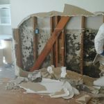 Water Damage and Mold: How to Address Both Issues