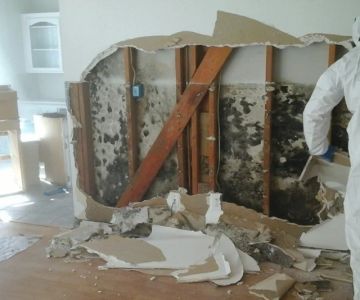 Water Damage and Mold: How to Address Both Issues