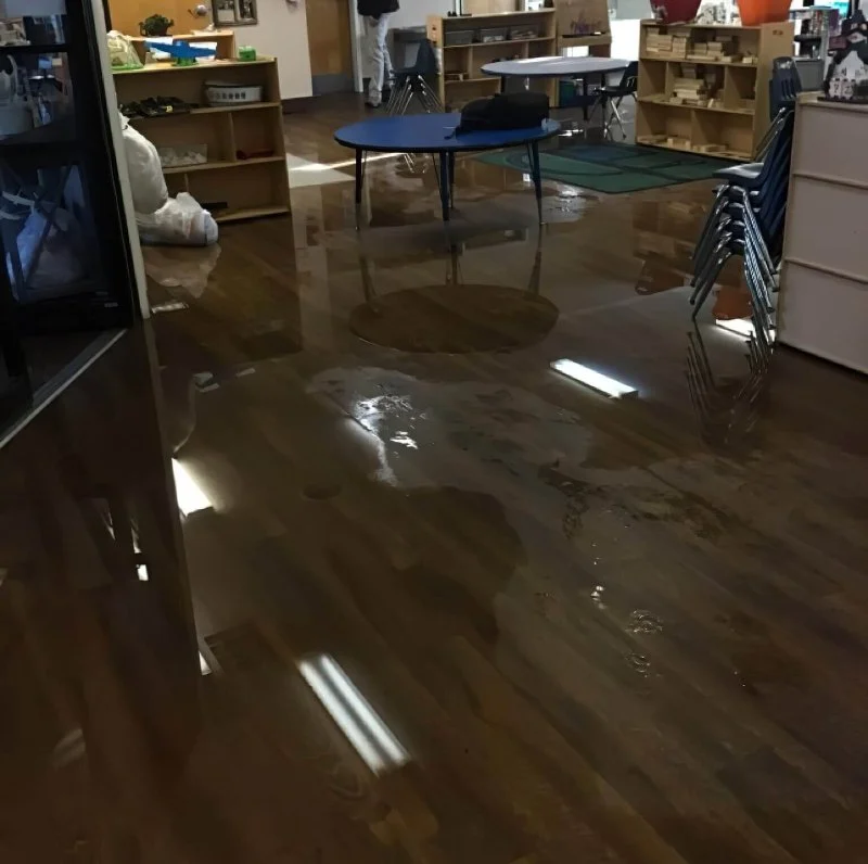 Water Damage Restoration for Schools and Libraries