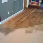 Water Damage Repair for Basement Flooring