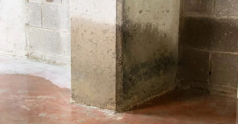 How to Dry Out Water-Damaged Concrete Surfaces