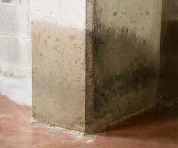 How to Dry Out Water-Damaged Concrete Surfaces