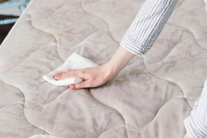 How to Dry Out Water-Damaged Mattresses: A Step-by-Step Guide