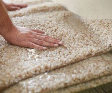 How to Restore Water-Damaged Rugs and Carpets