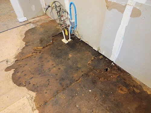 Water Damage Repair for Flooring Transitions: Expert Guide for Homeowners