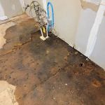 Water Damage Repair for Flooring Transitions: Expert Guide for Homeowners