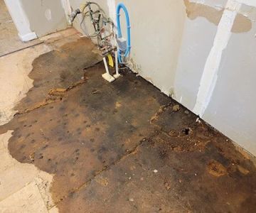Water Damage Repair for Flooring Transitions: Expert Guide for Homeowners