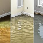 Understanding Different Types of Water Damage: Clean, Gray, and Black Water Explained