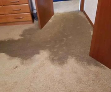 Water Damage Repair for Soggy Carpets: Causes, Risks, and Solutions