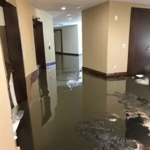 Water Damage Restoration for Hotels and Resorts: Protecting Guest Experience and Property