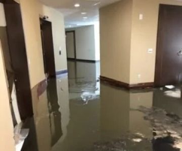 Water Damage Restoration for Hotels and Resorts: Protecting Guest Experience and Property