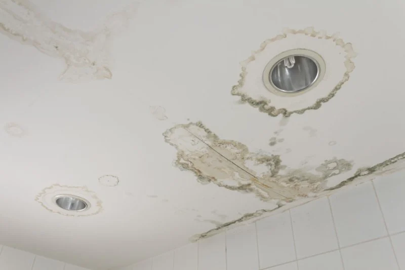Water Damage Repair for Ceiling Tiles: Essential Tips and Solutions