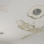Water Damage Repair for Ceiling Tiles: Essential Tips and Solutions