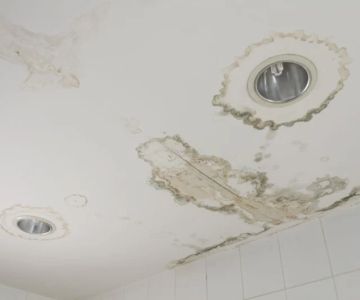 Water Damage Repair for Ceiling Tiles: Essential Tips and Solutions