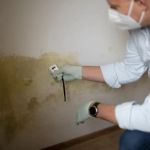 How to Remove Mold After Water Damage