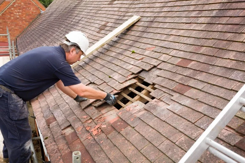 How to Identify and Repair Roof Damage from Long-Term Shade and Moisture