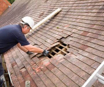 How to Identify and Repair Roof Damage from Long-Term Shade and Moisture