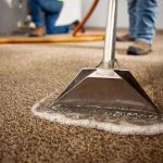 Water Damage Restoration for Offices: Protect Your Business and Property