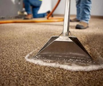 Water Damage Restoration for Offices: Protect Your Business and Property