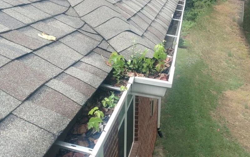 How to Prevent Water Damage From Clogged Gutters: Tips and Solutions